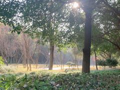 -锦庐道地川菜(来福士店)