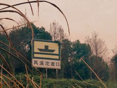 -金海湾滨江公园