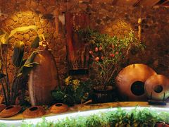 -盤古Spa泰式古法抓龙筋(鲁迅路店)