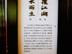 -锁江楼