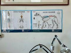 -派美特宠物医院·核磁CT·骨科肿瘤·疑难转诊(沈农禾丰店)