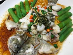 -猪肉婆私房菜(容桂总店)