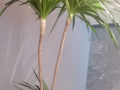 -徐记海鲜(观沙岭|滨江新城店)