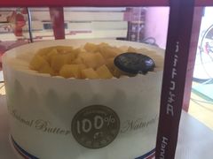 -维尔纳斯·生日蛋糕·动物奶油冰淇淋蛋糕(六里桥店)