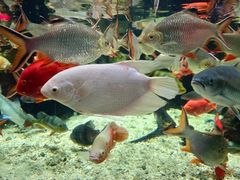 -太平洋海底世界