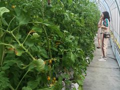 -溪口-滕头旅游景区