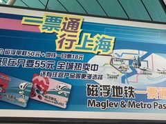 -龙阳路磁悬浮列车总站-停车场