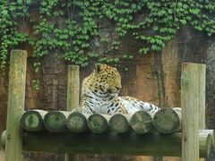 -杭州野生动物世界