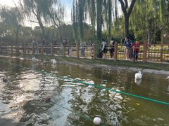 -黄兴公园