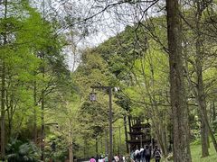 -青城山
