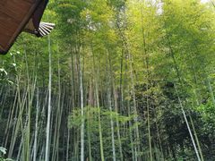 -漫山居私汤民宿全竹宴