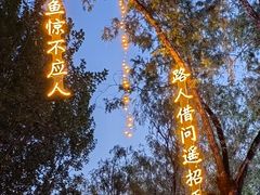 -万泉公园