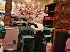 -小吊梨汤·北京菜·烤鸭(西直门凯德店)