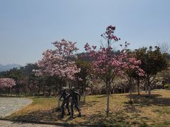 -浮山香苑