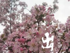-白鹭湾湿地公园