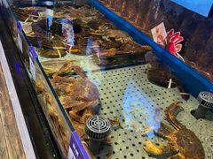 -开海·红岛海鲜虾水饺(石老人店)