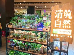 -凯德MALL(望京店)