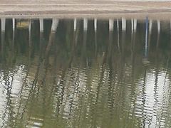 -森林公园(尖草坪区)