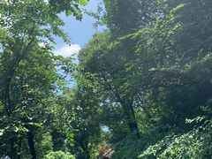 -杭州半山国家森林公园