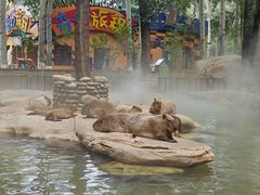 -北京野生动物园