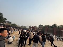 -枫香湖儿童公园