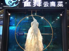 -雀舞云南菜(乐客城店)