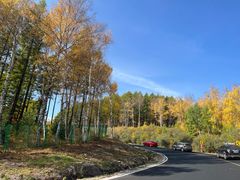 -塞罕坝国家级自然保护区