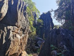 -玉石林风景区