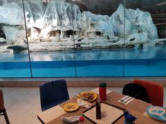 -帝企鹅自助餐厅•儿童岛•真企鹅(长隆企鹅酒店)