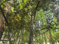 -瀛洲公园