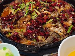 -老板恋上鱼(恒隆广场店)