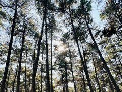 -长春净月潭风景名胜区