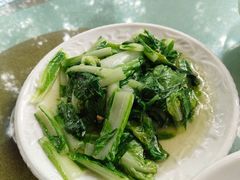 -兴隆槟榔园休闲农庄