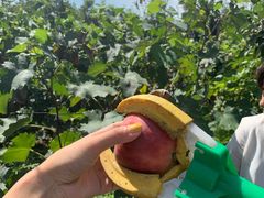 -水库活鱼馆(于桥水库店)