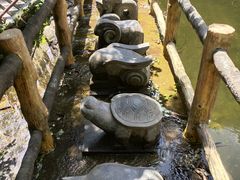 -王顺山国家森林公园