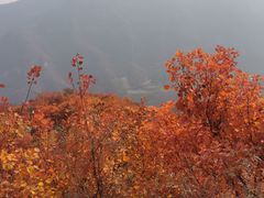 -周口店坡峰岭风景区