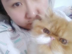 -宠爱国际动物医院· 猫科· 外科·中兽医(长白店)