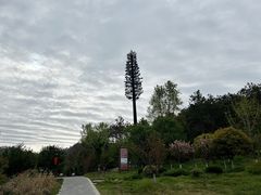 -黄陂区野村谷景区