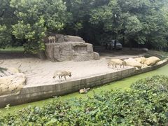 -常州淹城野生动物世界