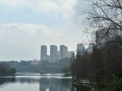 -重庆彩云湖湿地公园