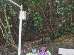 -广州白江湖森林公园