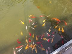 -宝界普菲特湖畔酒店