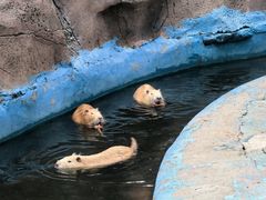 -北戴河集发农业梦想王国