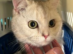 -唐小姐の猫狗洗护·购宠旗舰店(周浦万达店)