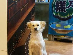 -元氏钵仔糕(北京路店)