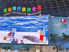 -泉城欧乐堡海洋极地世界
