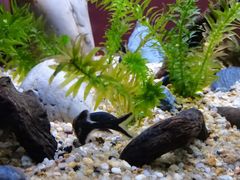 -上海海洋水族馆