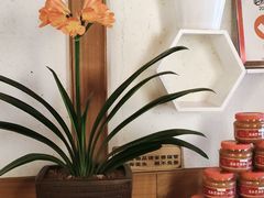 -小吊梨汤·北京菜·烤鸭(双井乐成中心店)