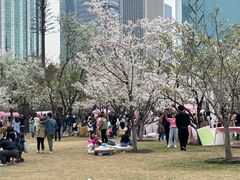 -西北湖绿化广场