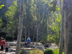 -幽岚山·童话森林